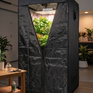 Junkie Tents 120x120x190 Bitki Yetiştirme Kabini