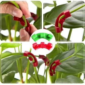 Bitki LST Eğitim Aparatı