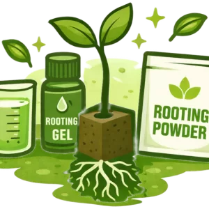 Köklendirme Jelleri