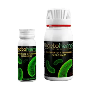 Agrobacterias Bactohemp 10 g