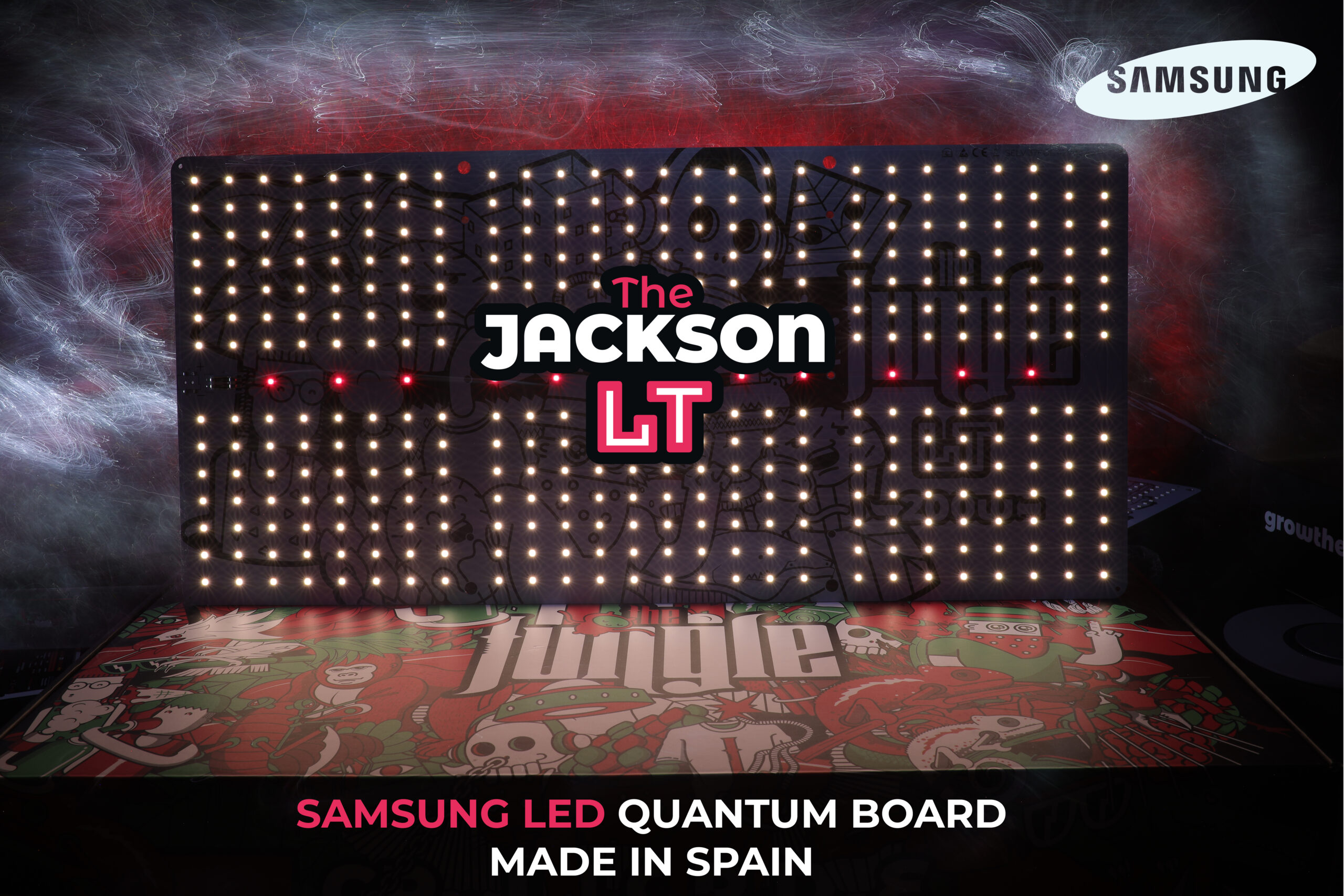 1-JACKSON-LT-scaled